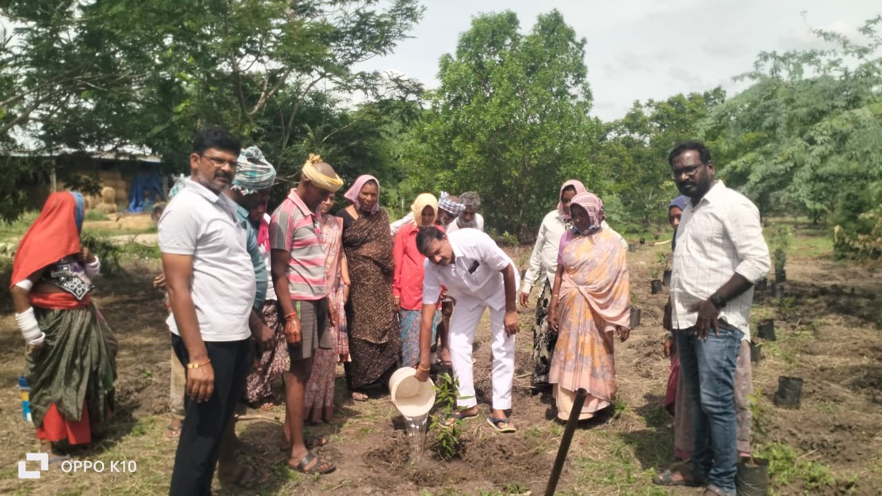 ప్రకృతి పరిరక్షణే లక్ష్యం: శాంతిగూడెంలో వన మహోత్సవం
